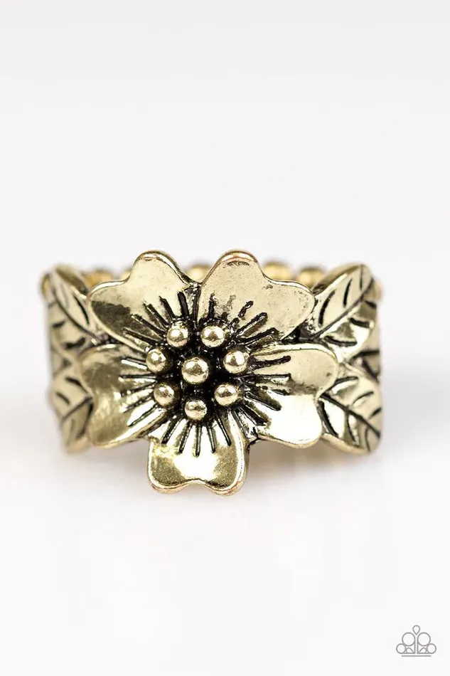 Paparazzi Ring Rio Retreat Brass Paparazzi Jewelry Rings