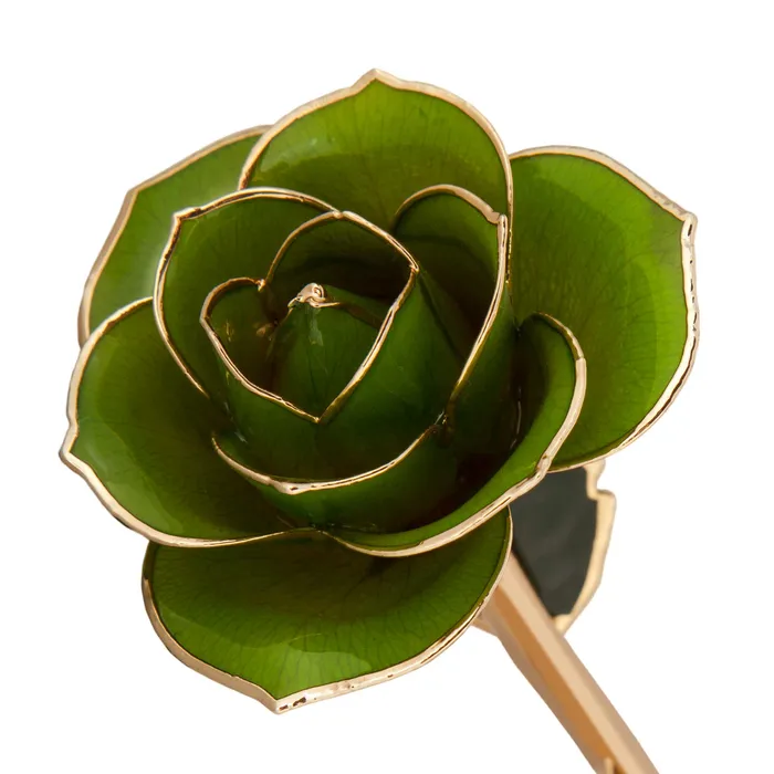 Earrings TR Jewelry Concepts Mossy Green 24K Gold Dipped Rose LIMITED STOCK