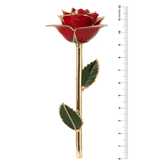 Earrings TR Jewelry Concepts Mossy Green 24K Gold Dipped Rose LIMITED STOCK